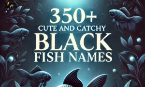 350+ Cute And Catchy Black Fish Names 