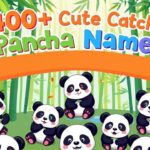 400+ Cute And Catchy Panda Names