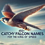 450+ Catchy Falcon Names For The King Of Speed