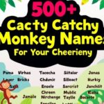 500+ Catchy Monkey Names For Your Cheeky Friend