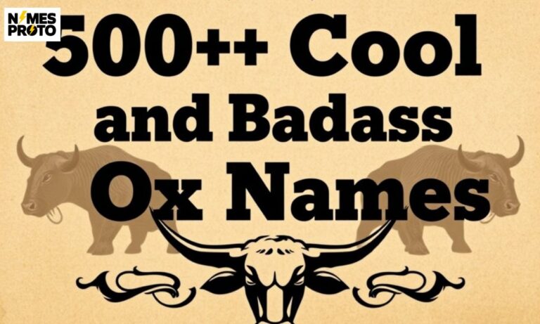 500+ Cool And Badass Ox Names