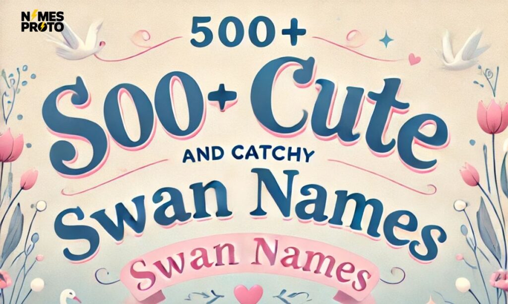 500+ Cute And Catchy Swan Names