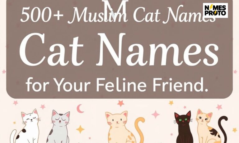 500+ Muslim Cat Names: Islamic Names for Your Feline Friend