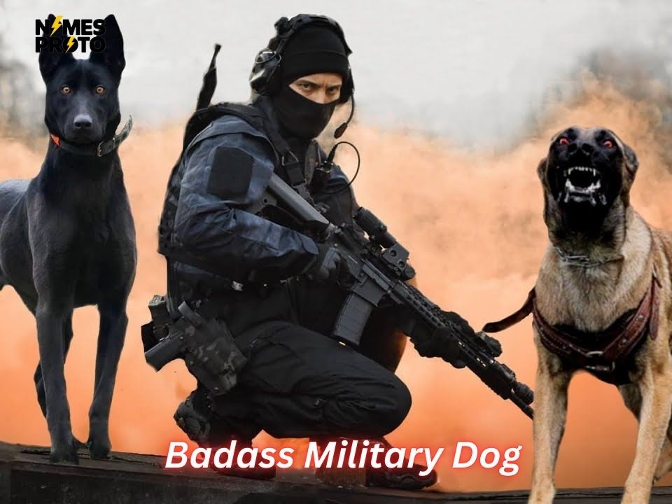 Badass Military Dog Names