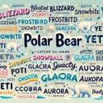 400+ Catchy Polar Bear Names