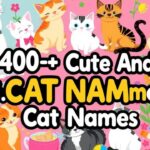 400+ Cute And Catchy Cat Names With Name Generator