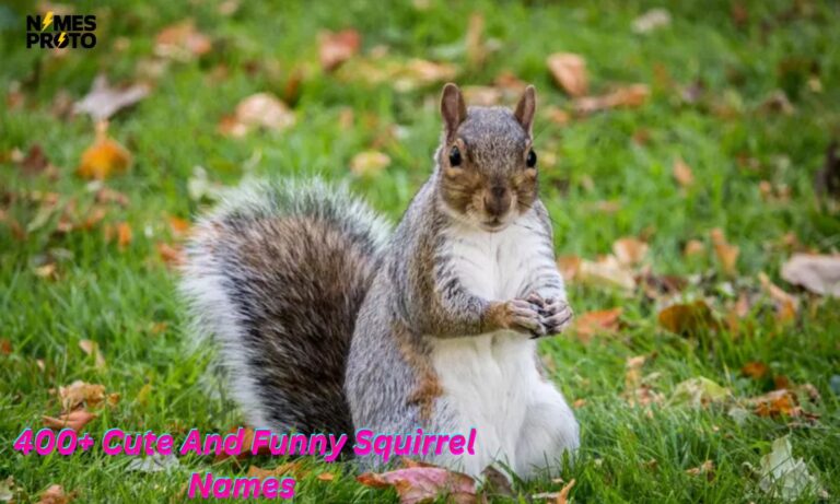 400+ Cute And Funny Squirrel Names 