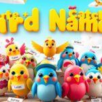 500+ Cute And Catchy Bird Names With Bird Name Generator