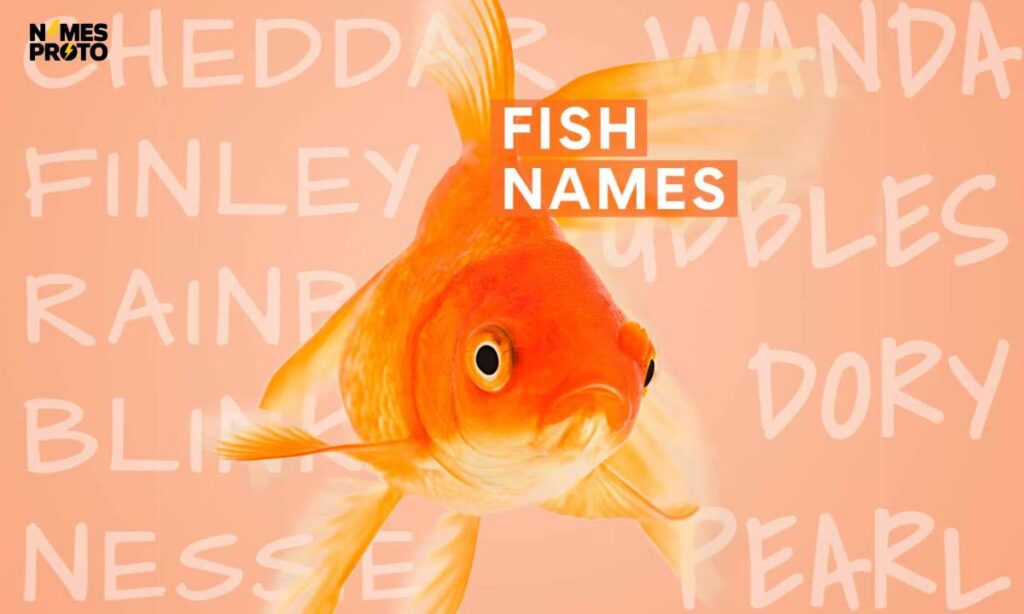 Popular Pet Fish Names