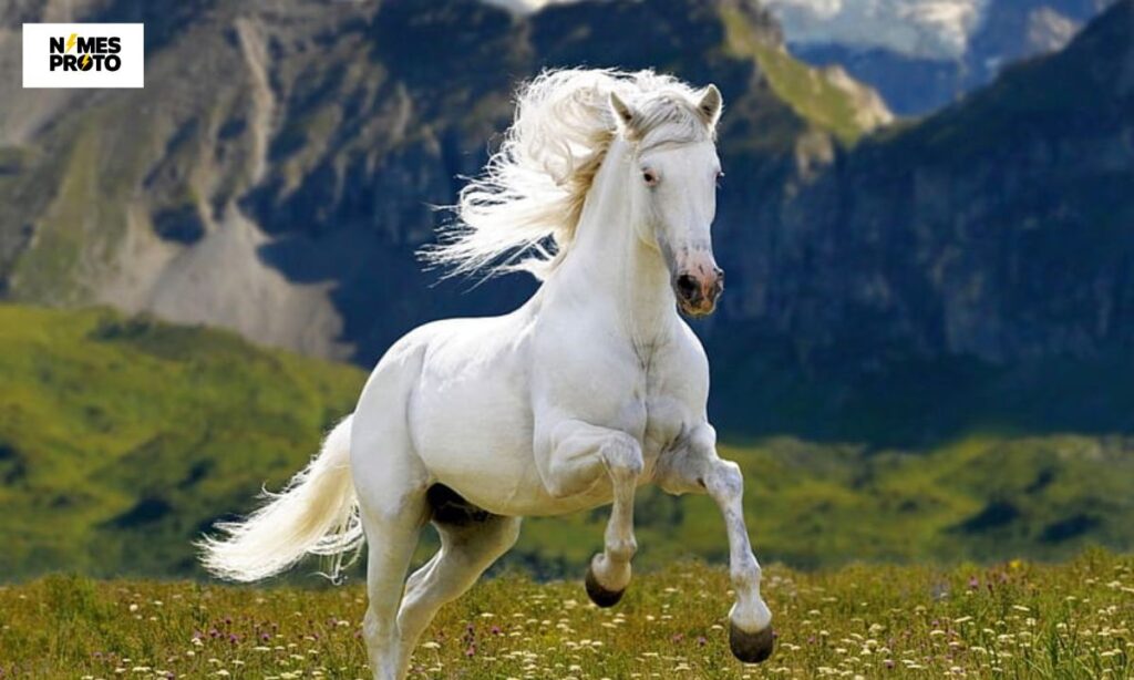 Unique White Horse Names