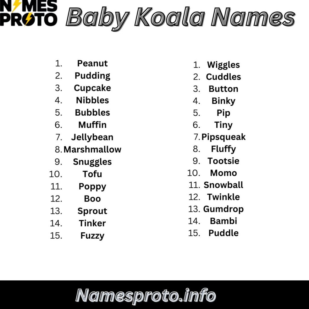 Baby Koala Names