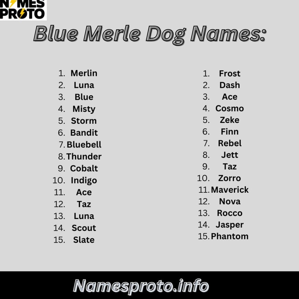 Blue Merle Dog Names: