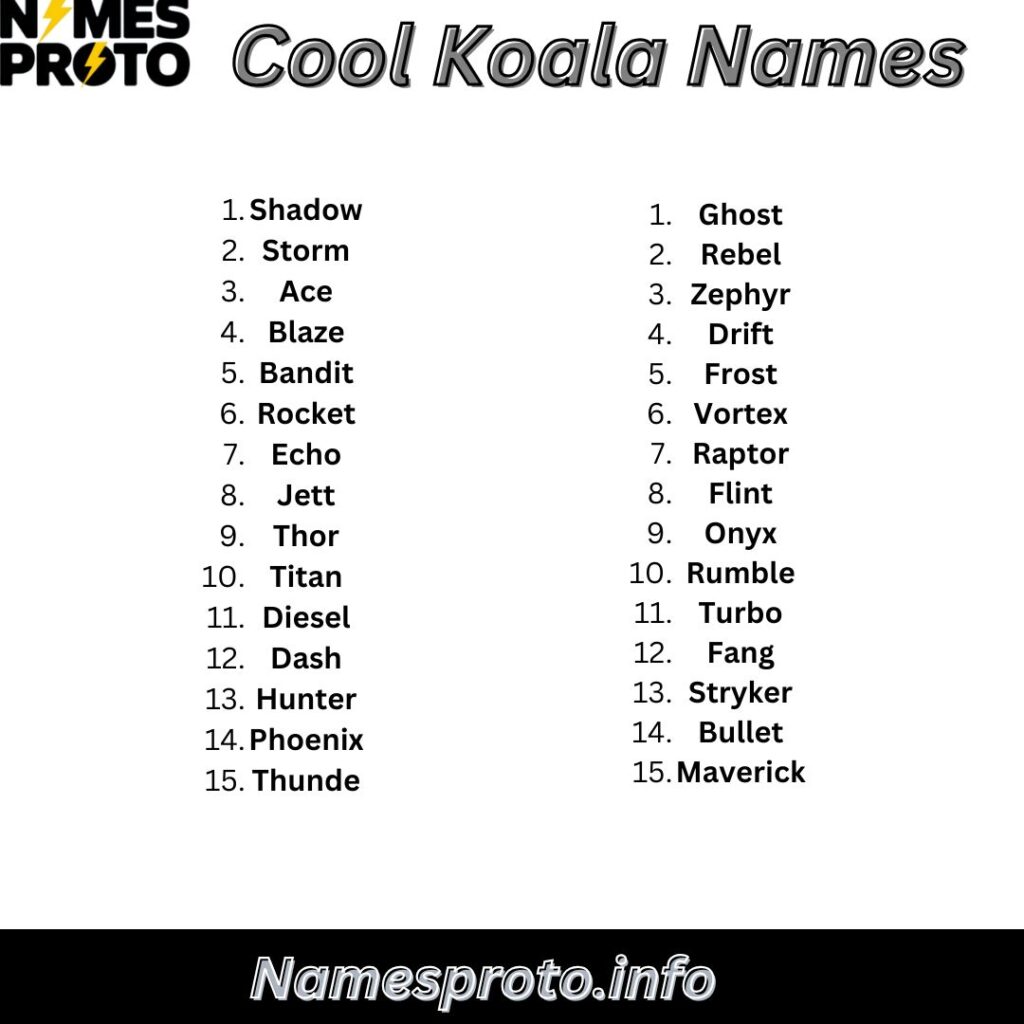 Cool Koala Names