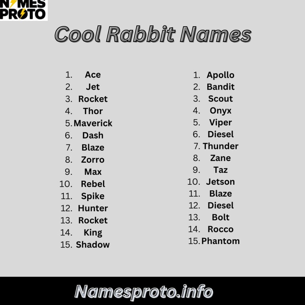 Cool Rabbit Names