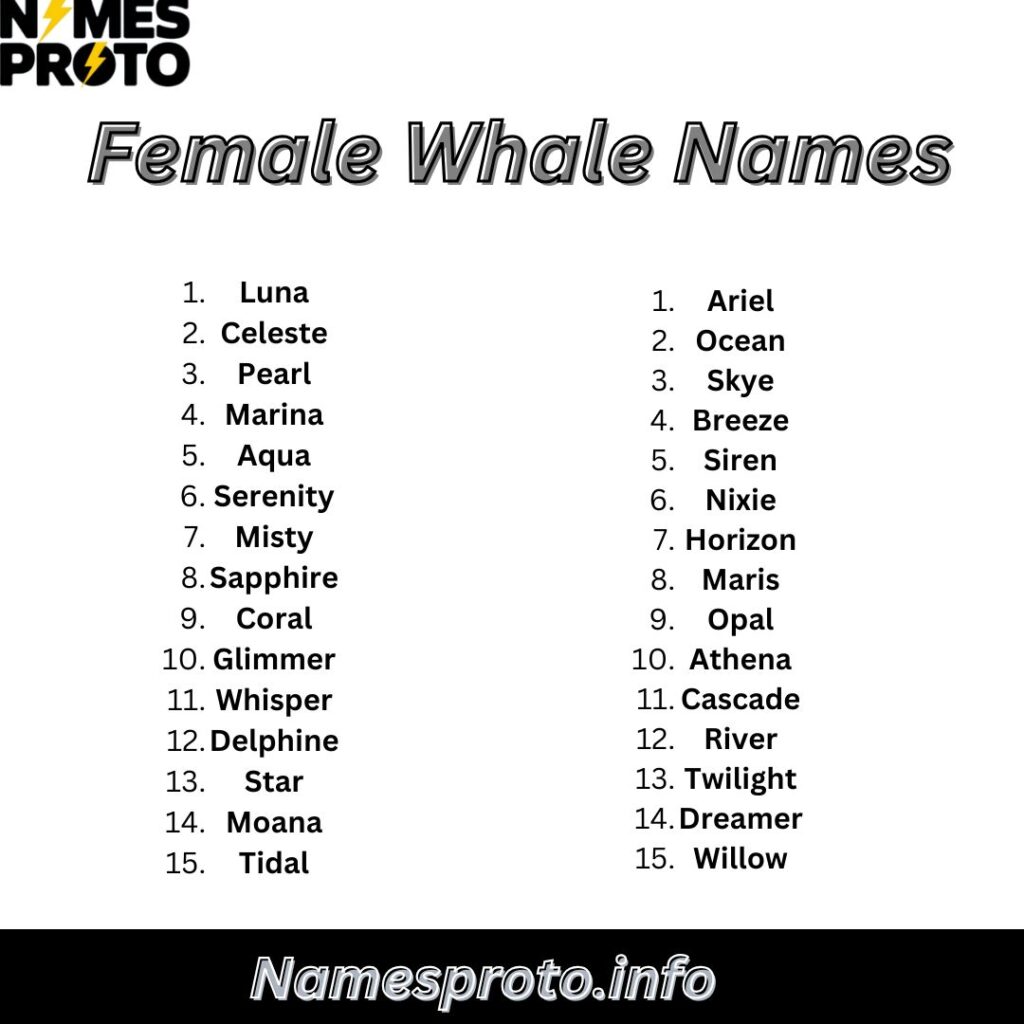 Female Whale Names