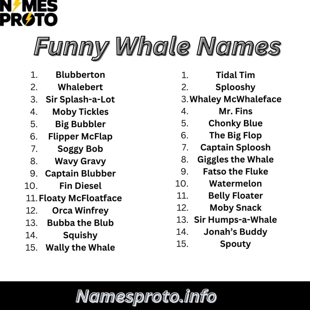 Funny Whale Names