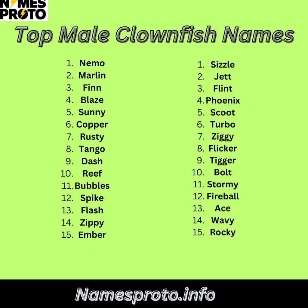 Top Male Clownfish Names